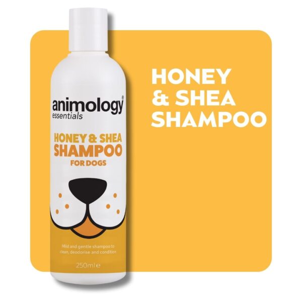 5.jpg Animology Essentials Honey & Shea Shampoo 250ml