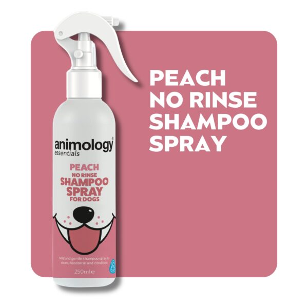 AnimologyEssentialsWebImages_1-scaled-1.jpg Animology Essentials Peach No Rinse Shampoo Spray 250ml