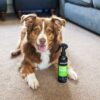 DSC_0347copy-scaled-1.jpg Animology Stink Bomb Deodorising Dog Spray 250ml