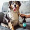 DSC_0511copy-scaled-1.jpg Animology Knot Sure De-Tangle Dog Spray 250ml