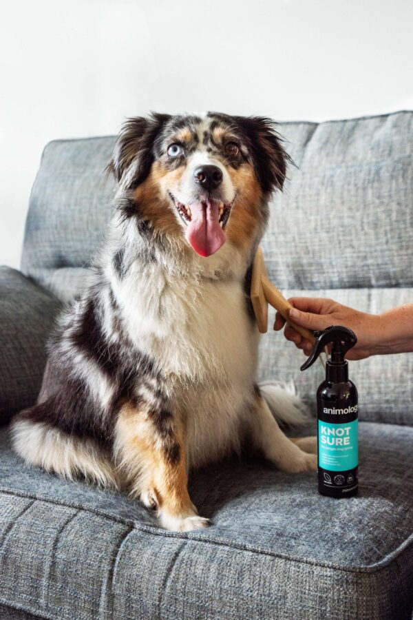 DSC_0511copy-scaled-1.jpg Animology Knot Sure De-Tangle Dog Spray 250ml