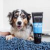 DSC_0647copy-scaled-1.jpg Animology Hair of the Dog Anti-Tangle Dog Shampoo 250ml