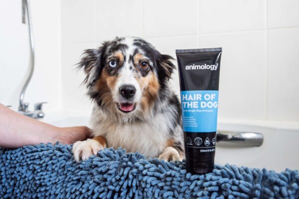 DSC_0647copy-scaled-1.jpg Animology Hair of the Dog Anti-Tangle Dog Shampoo 250ml