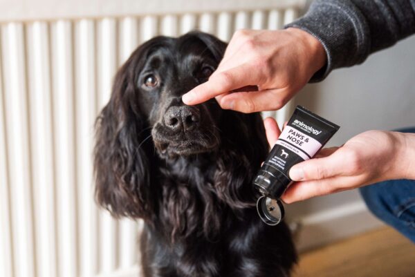 DSC_3610copy-scaled-1.jpg Animology Paws & Nose Balm 50ml