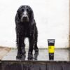 DSC_4334copy-scaled-1.jpg Animology Fox Poo Dog Shampoo 250ml
