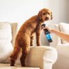 Animology Mucky Pup No Rinse Puppy Shampoo 250ml