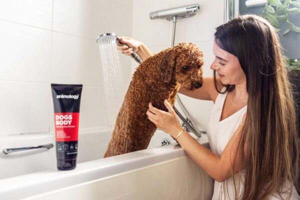 DSC_7234copy-scaled-1.jpg Animology Dogs Body Dog Shampoo 250ml