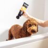 DSC_7266copy-scaled-1.jpg Animology Curly Coat Dog Shampoo 250ml