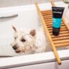 DSC_7830copy-scaled-1.jpg Animology Spa Day Skin & Coat Shampoo 250ml