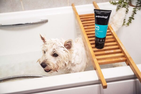 DSC_7830copy-scaled-1.jpg Animology Spa Day Skin & Coat Shampoo 250ml