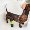 DSC_8364copy-scaled-1.jpg Animology Deep Clean Intensive Dog Shampoo 250ml