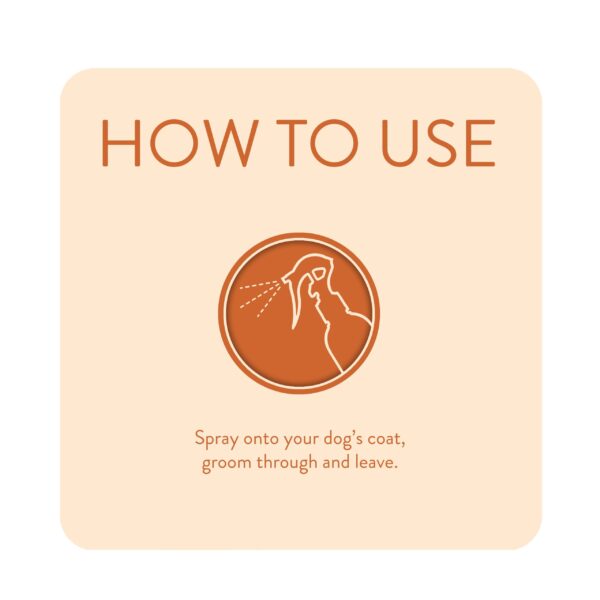 Dirty-Dawg4-scaled-1.jpg Animology Dirty Dawg No Rinse Dog Shampoo 250ml