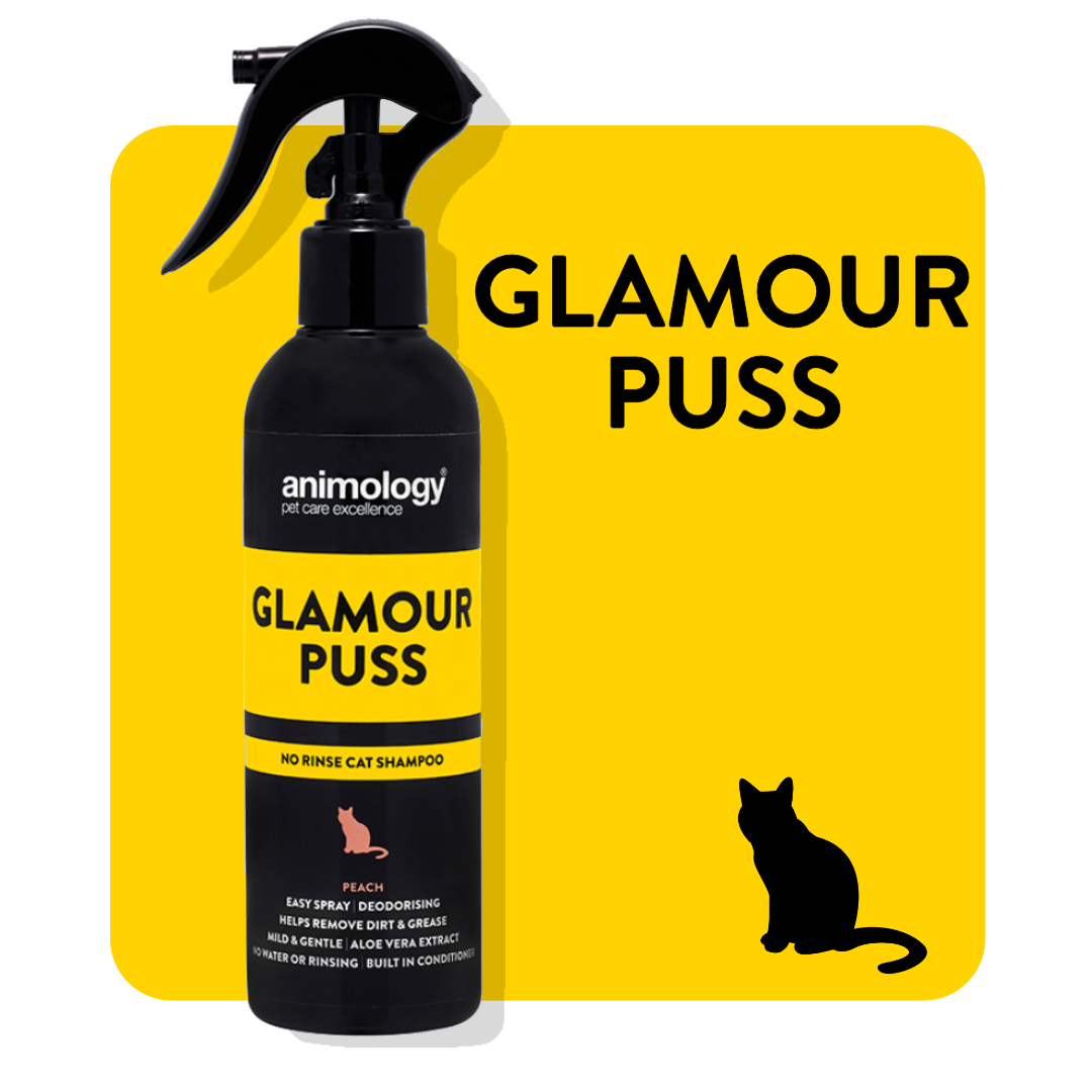 Glamour-Puss-1.png