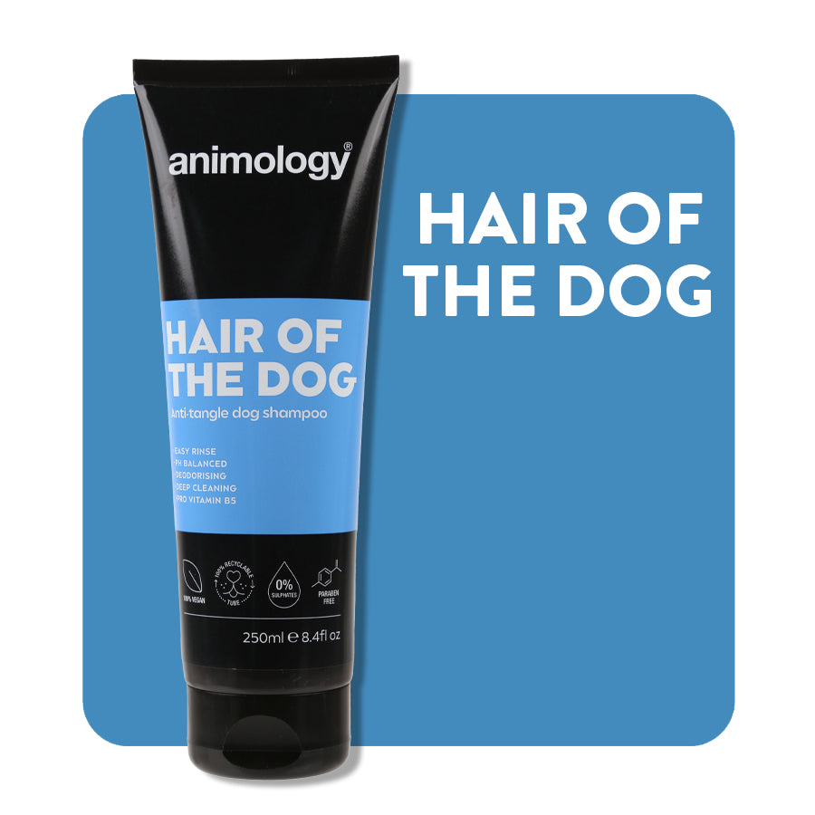 Hair-Of-The-Dog1new.jpg
