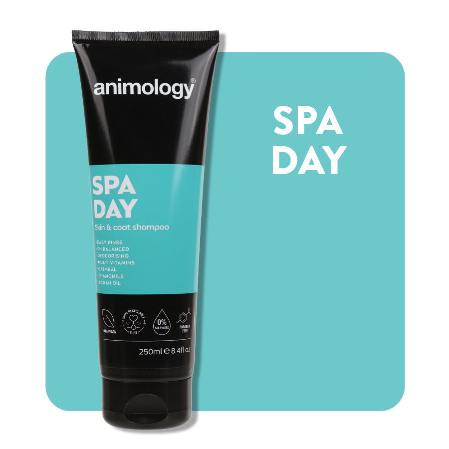 SpaDay.jpg