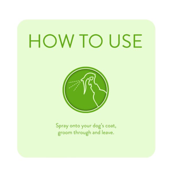 Stink-Bomb-4-scaled-1.jpg Animology Stink Bomb Deodorising Dog Spray 250ml